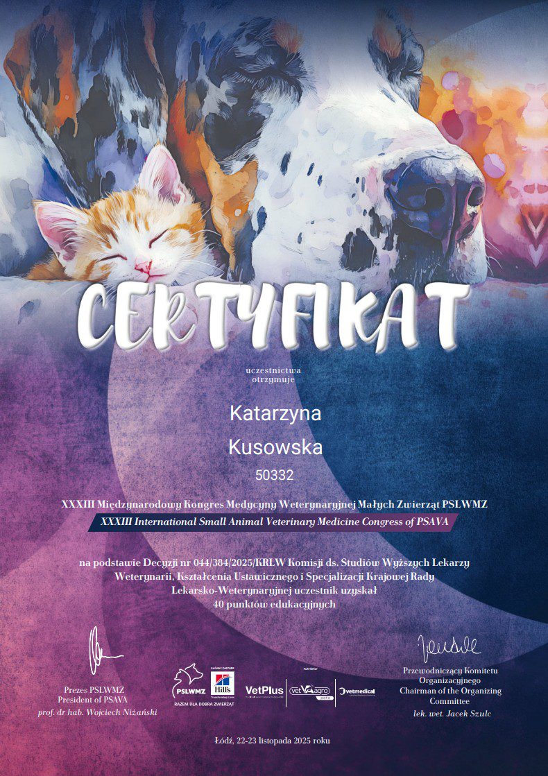Certyfikat 4